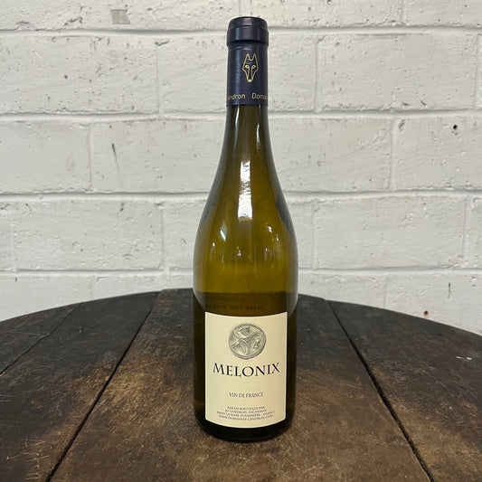 Mélonix VDF 2021 - Jo Landron