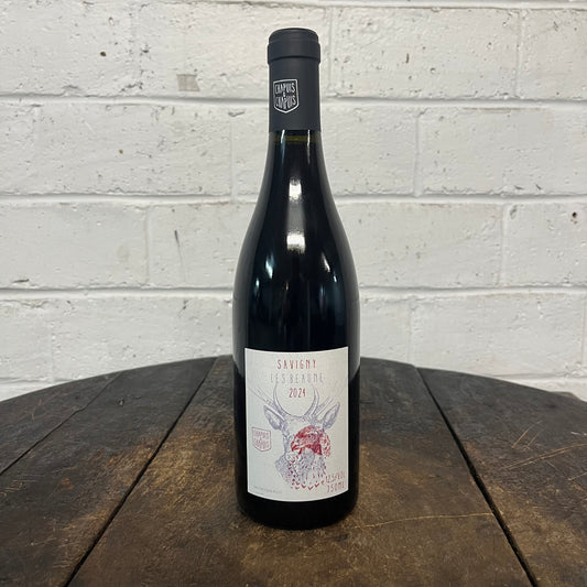 Savigny Les Beaune Rouge 2024 | Chapuis + Chapuis