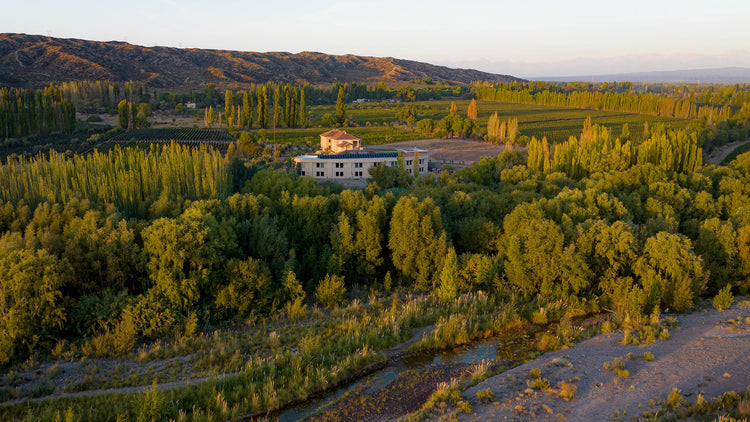 Bodegas Krontiras