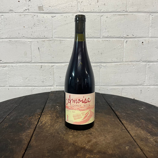 Amphora Gamay Noir 2023 | Amoise (Hawkes Bay, NZ)