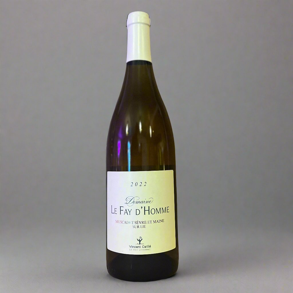 Muscadet Sèvre et Maine sur Lie 2021 | Fay d’homme (Vincent Caillé)